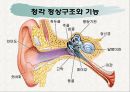 노인의 피부.감각기계 변화 37페이지