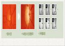 노인의 피부.감각기계 변화 52페이지