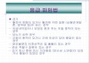 피임 -보건 교육 ppt 23페이지