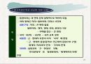 사회과교육과정 개정과정에 대한 문화기술적 분석PPT자료 27페이지