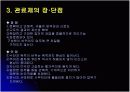 관료제와 현대조직의 비교 PPT 6페이지