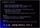 관료제와 현대조직의 비교 PPT 15페이지
