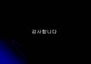 관료제와 현대조직의 비교 PPT 21페이지