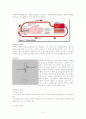 만성 신부전 8페이지