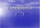 임패리얼 팰리스 호텔 조사 17페이지