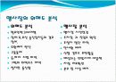 연예인 팬클럽 창단식 경호계획서 3페이지