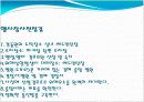 연예인 팬클럽 창단식 경호계획서 5페이지
