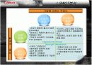 canon디지털 카메라 마케팅전략 17페이지