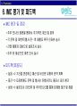  전략 기획서 30페이지