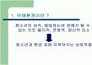 청소년을 위협하는 유해환경 실태조사 3페이지