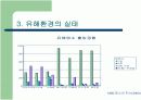 청소년을 위협하는 유해환경 실태조사 5페이지