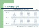 청소년을 위협하는 유해환경 실태조사 8페이지