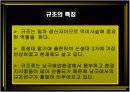 서산시 석림동 제 4기 퇴적층에서 산출된 규조에 의한 고환경 연구 3페이지