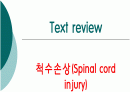 척수 손상 1페이지