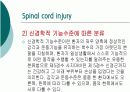 척수 손상 5페이지