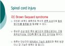 척수 손상 10페이지