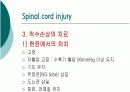 척수 손상 13페이지