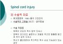 척수 손상 15페이지
