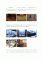 충남 역사박물관 견학 4페이지
