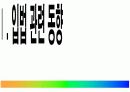 비정규직 법안 주요내용 / 평가 4페이지