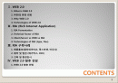 WEB 2.0 개요와 WEB 2.0으로서의 RIA 기반기술 분석 및 구축사례 그리고 WEB 2.0 향후 전망 2페이지