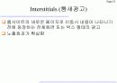 인터넷 광고 15페이지