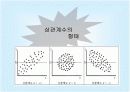 [마케팅조사론]상관관계분석 6페이지