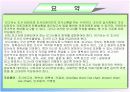 [마케팅조사론]보고서 작성 10페이지