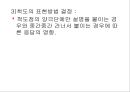 [마케팅조사론]척 도 법 24페이지
