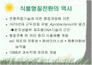 Plant Transformation (식물형질전환) 발표용 자료. 3페이지