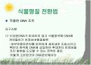 Plant Transformation (식물형질전환) 발표용 자료. 10페이지