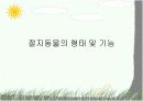 절지동물 발표용 자료입니다. (동물분류학 수업자료) 5페이지