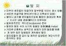 절지동물 발표용 자료입니다. (동물분류학 수업자료) 7페이지