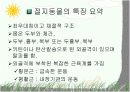 절지동물 발표용 자료입니다. (동물분류학 수업자료) 20페이지