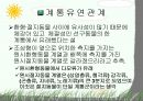 절지동물 발표용 자료입니다. (동물분류학 수업자료) 23페이지