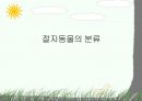 절지동물 발표용 자료입니다. (동물분류학 수업자료) 24페이지