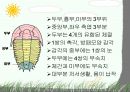 절지동물 발표용 자료입니다. (동물분류학 수업자료) 29페이지