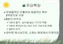 절지동물 발표용 자료입니다. (동물분류학 수업자료) 33페이지