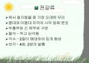절지동물 발표용 자료입니다. (동물분류학 수업자료) 38페이지