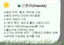 절지동물 발표용 자료입니다. (동물분류학 수업자료) 52페이지