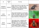 절지동물 발표용 자료입니다. (동물분류학 수업자료) 56페이지
