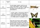 절지동물 발표용 자료입니다. (동물분류학 수업자료) 57페이지