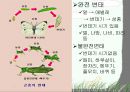 절지동물 발표용 자료입니다. (동물분류학 수업자료) 59페이지