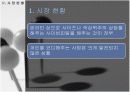개인코디네이터몰 사업계획서 8페이지