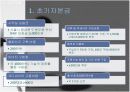 개인코디네이터몰 사업계획서 20페이지