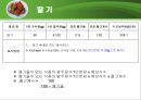 다량조리 식단 작성(대학교) 20페이지