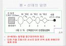 압연가공 40페이지
