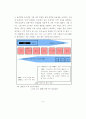 공급 사슬망 관리를 통한 마케팅 전략 구축 13페이지