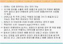 아동기의 건강 18페이지