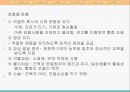 유아기의 건강 25페이지